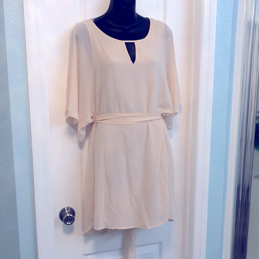 Naked Zebra Small Nude Dress